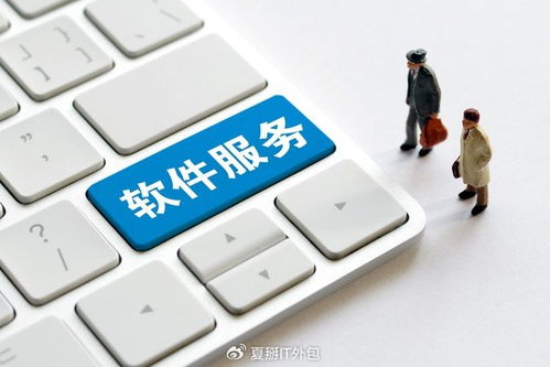 軟件開發板塊震蕩走強，上海IT運維外包迎發展新機遇