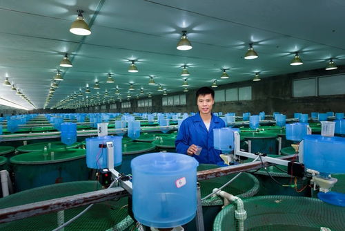 海大集團 連續多年保持20 以上增長速度的背后力量